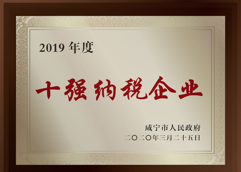 2019年度十强纳税企业