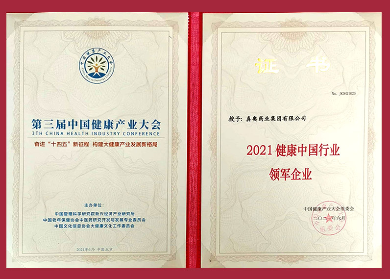 2021健康中国行业 领军企业